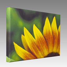 Leinwand bedrucken Leinwand bedrucken