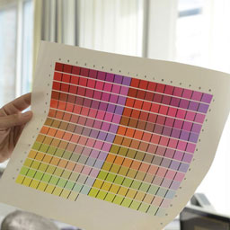 Printing industry: Graphic designer checks the color with color swatch.